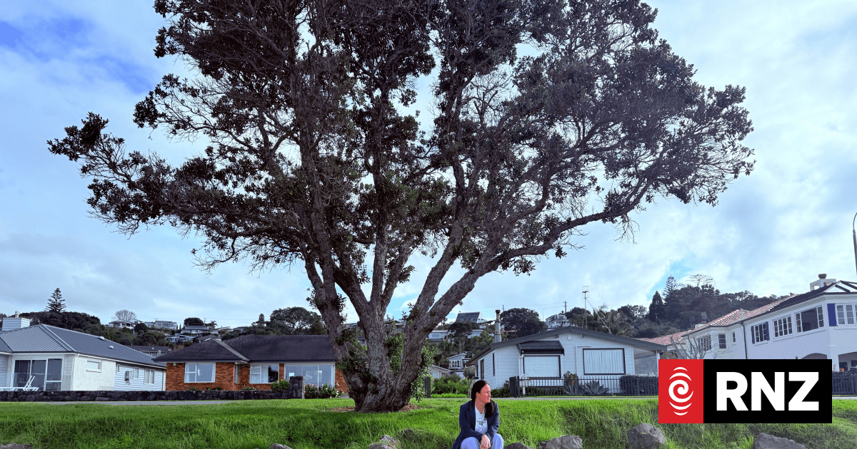 Mum denied memorial bench for son found dead at Auckland beach