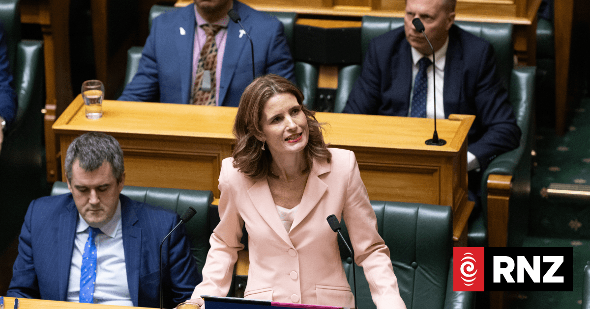 Watchdog needed to quell election-year squabbles over spending - economist