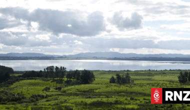 The 'radical' plan to clean up Northland's Lake Ōmāpere