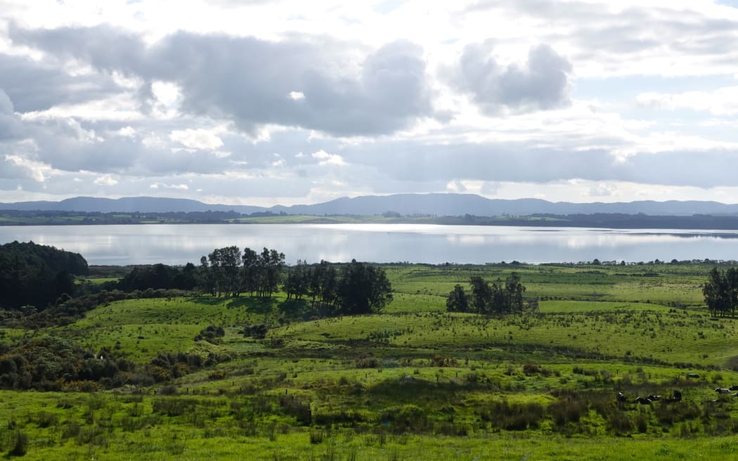 Lake Ōmāpere, north of Kaikohe, is Northland’s largest lake.
