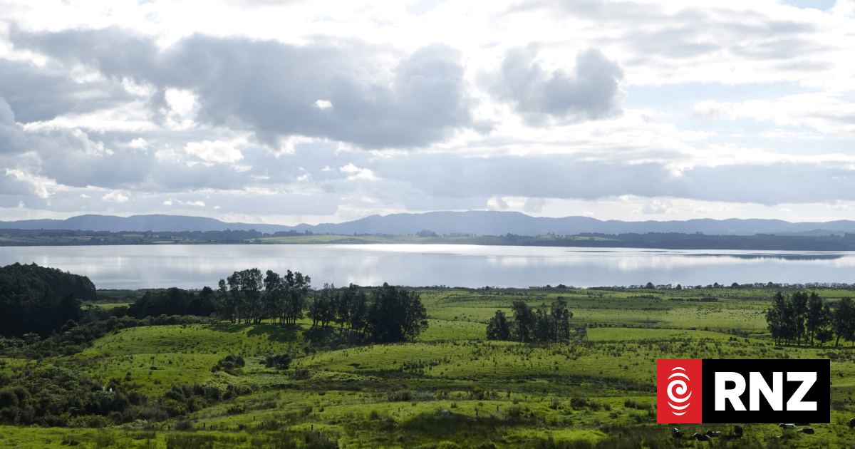 The 'radical' plan to clean up Northland's Lake Ōmāpere