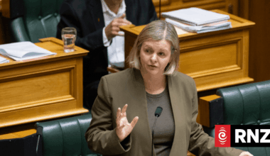 Labour calls for formal audit of govt's record keeping and OIA practice