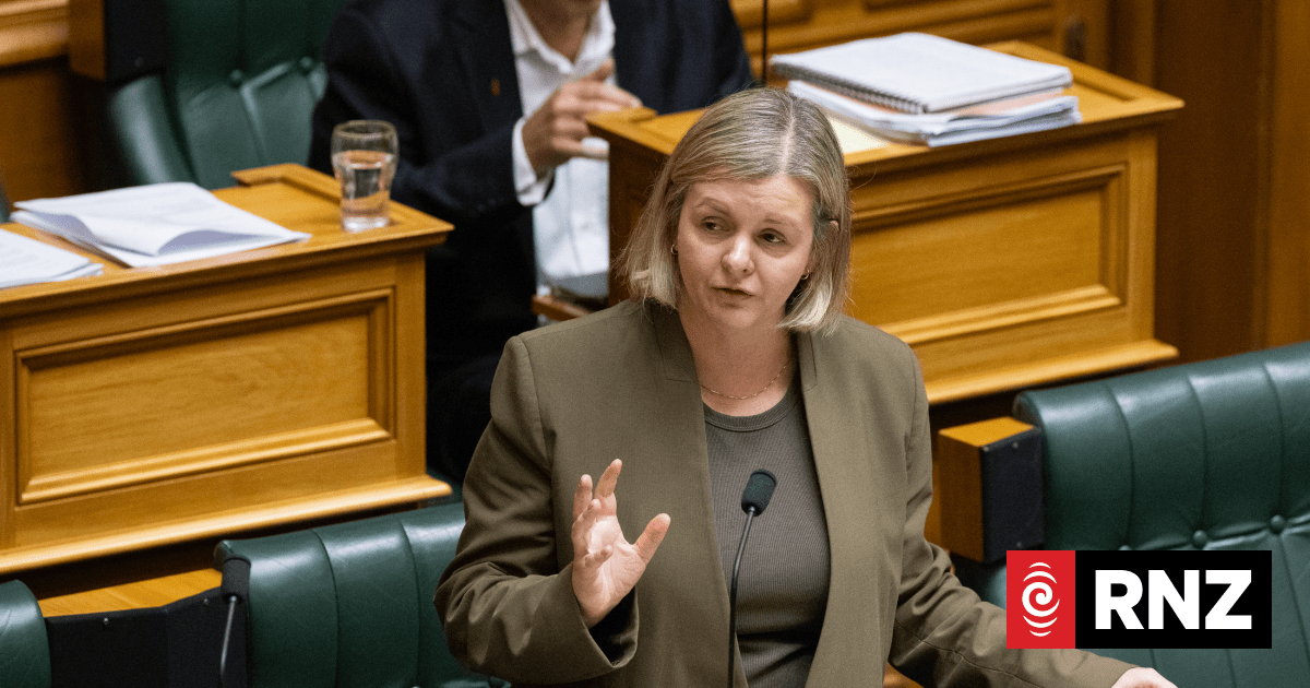 Labour calls for formal audit of govt's record keeping and OIA practice
