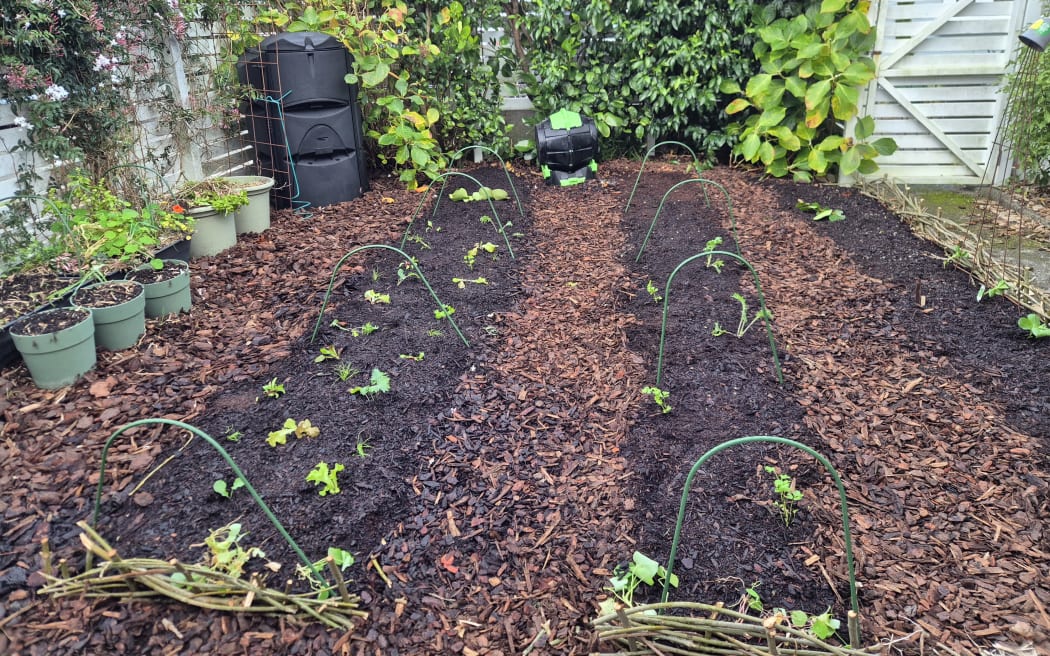 The finished garden with freshly planted seedlings and sown seeds.