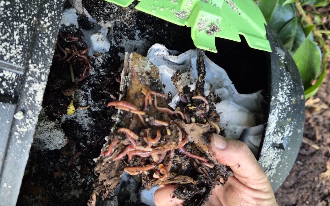 The garden includes a new worm farm.
