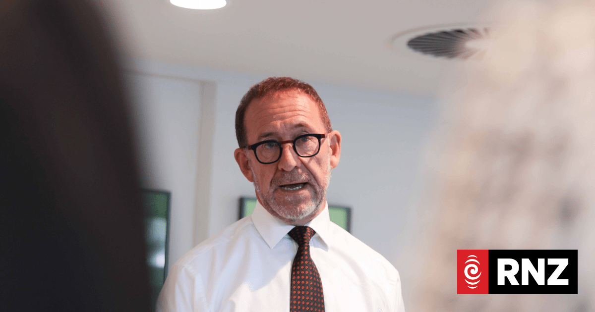 Conversation about council amalgamation plan too rushed, Andrew Little says
