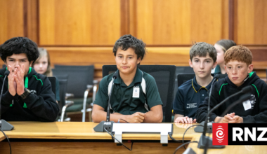 'Fruit on the ceiling': School students take over Parliament