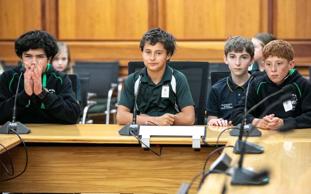 Students from Waipukurau school on their visit to Parliament