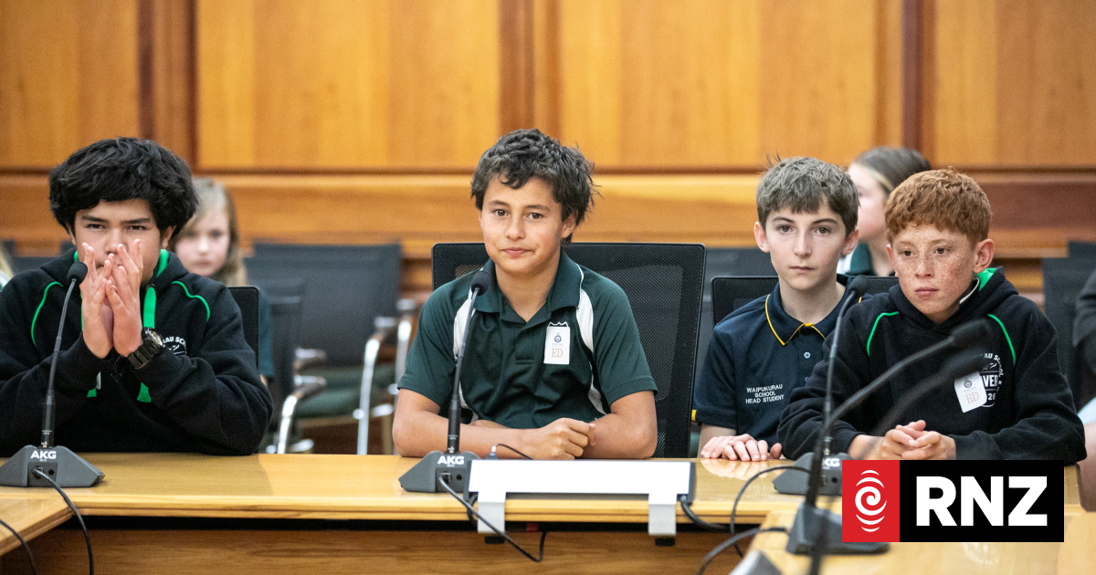 'Fruit on the ceiling': School students take over Parliament