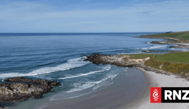 New Te Au Roa o Te Rakihouia marine reserves coming into force in Otago