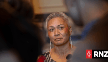 Greens promise fines for privacy breaches if elected