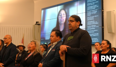 Banning voting rights an attempt to 'silence the Māori voices in the room' - iwi leader