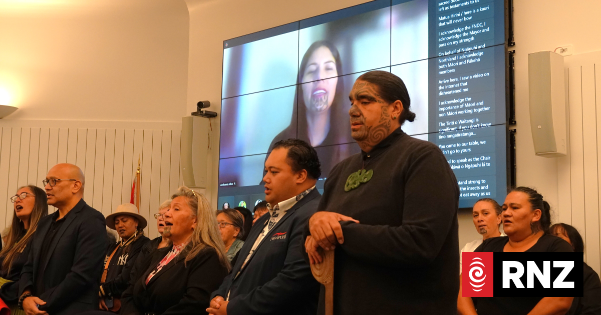 Banning voting rights an attempt to 'silence the Māori voices in the room' - iwi leader