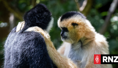 Our Changing World: The challenge of making our capital city predator free
