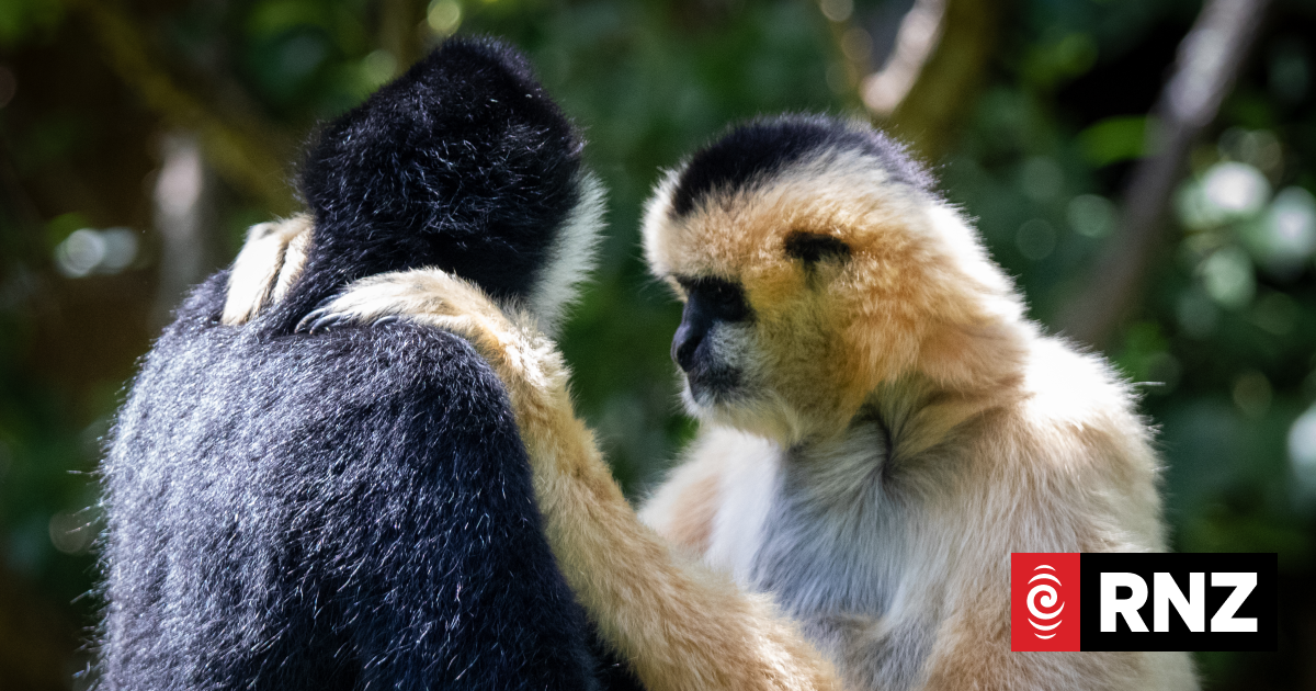 Our Changing World: The challenge of making our capital city predator free