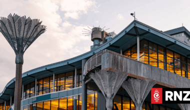Another critic labels $600k bill for Wellington library website 'insulting stupid' decision