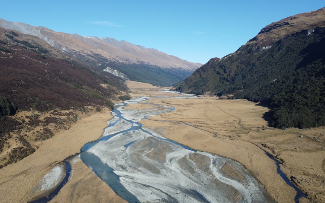 Otago's Rees Valley is becoming home to New Zealand's largest wild takahē population outside their original Fiordland habitat.