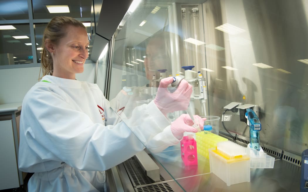 Rebecca is wearing a white lab coat and pink gloves, working inside a biosafety cabinet, using a pipette to dispense liquid into small tubes held in a rack. The reflective glass panel shows the workspace, which includes pipettes, tube holders, and containers organized on the stainless-steel surface.