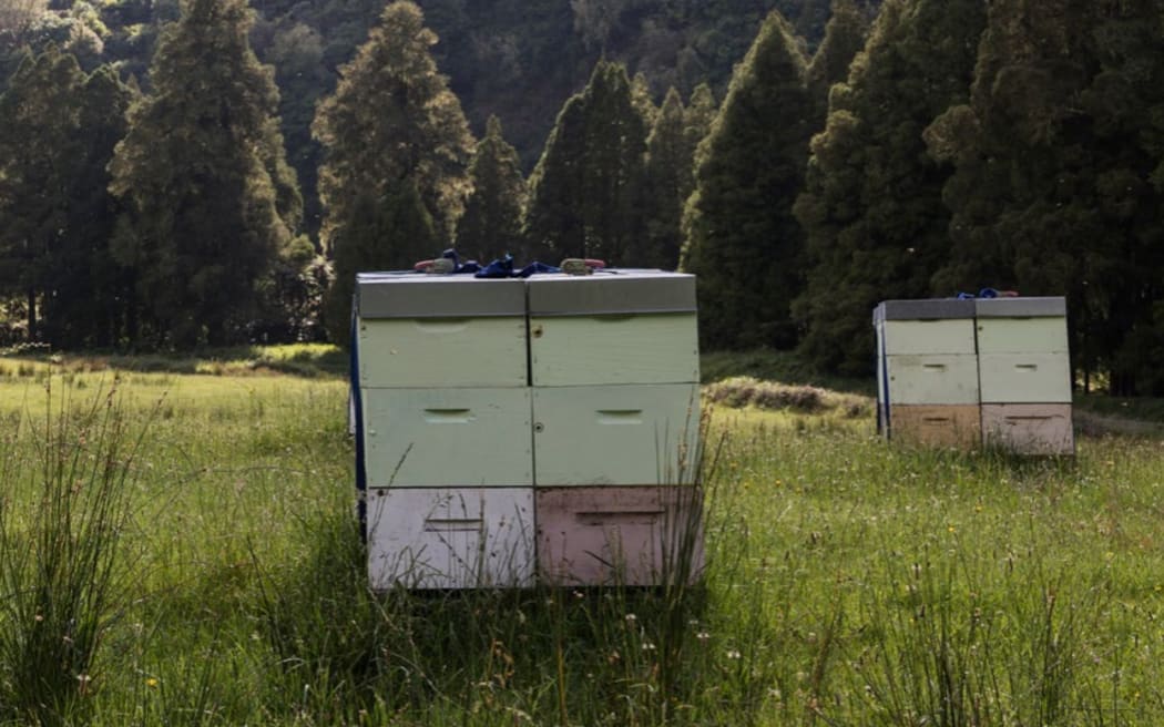 Beehives