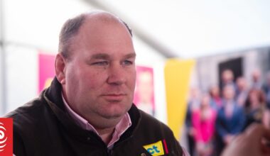 ACT favours sheep over choppers for weed control on conservation land