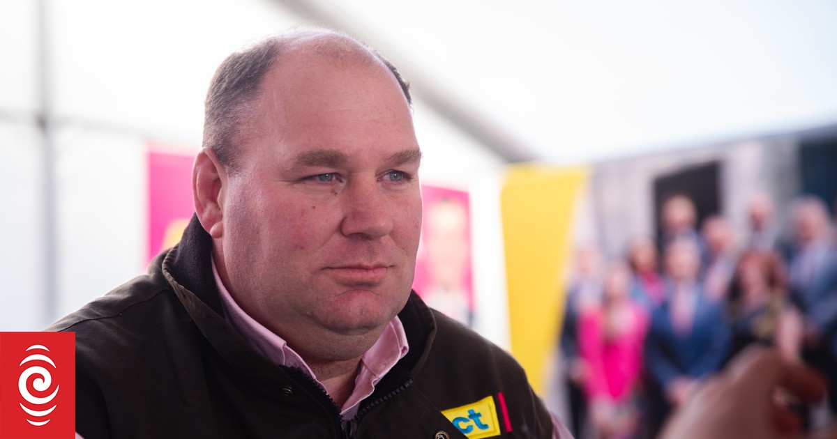 ACT favours sheep over choppers for weed control on conservation land