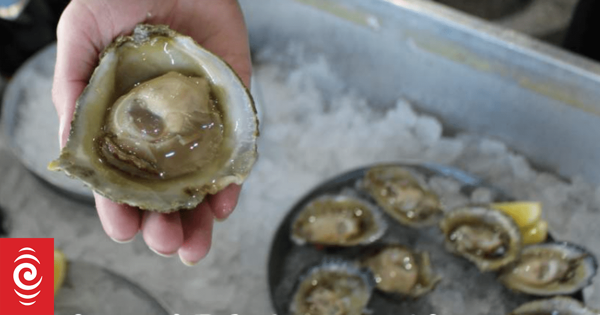 Waimana Marine fined $24,000 for moving Bluff oysters from parasite-controlled area