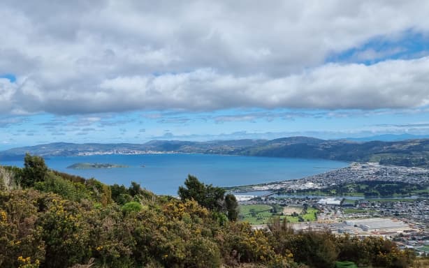 Wellington Harbour from the Wainuiomata lookout, over Petone and Seaview.