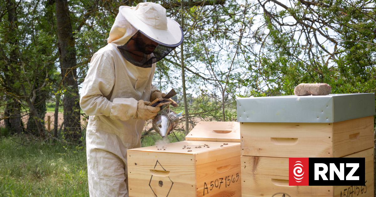 Apiculture NZ group survives last chance vote, eyeing a 'fresh start' restructure