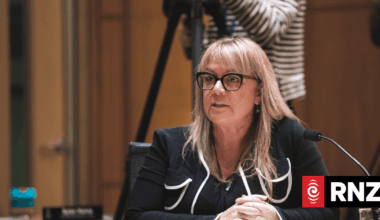 New Zealand's Definitions of Woman and Man Bill and how the public can give submissions