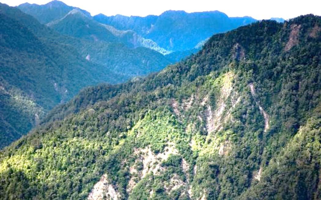 Erosion at Raukūmara Forest.