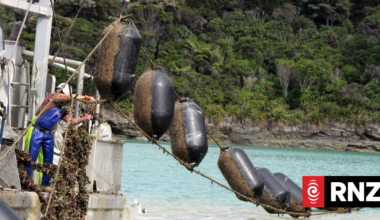Six Marlborough mussel farms put on govt's fast track
