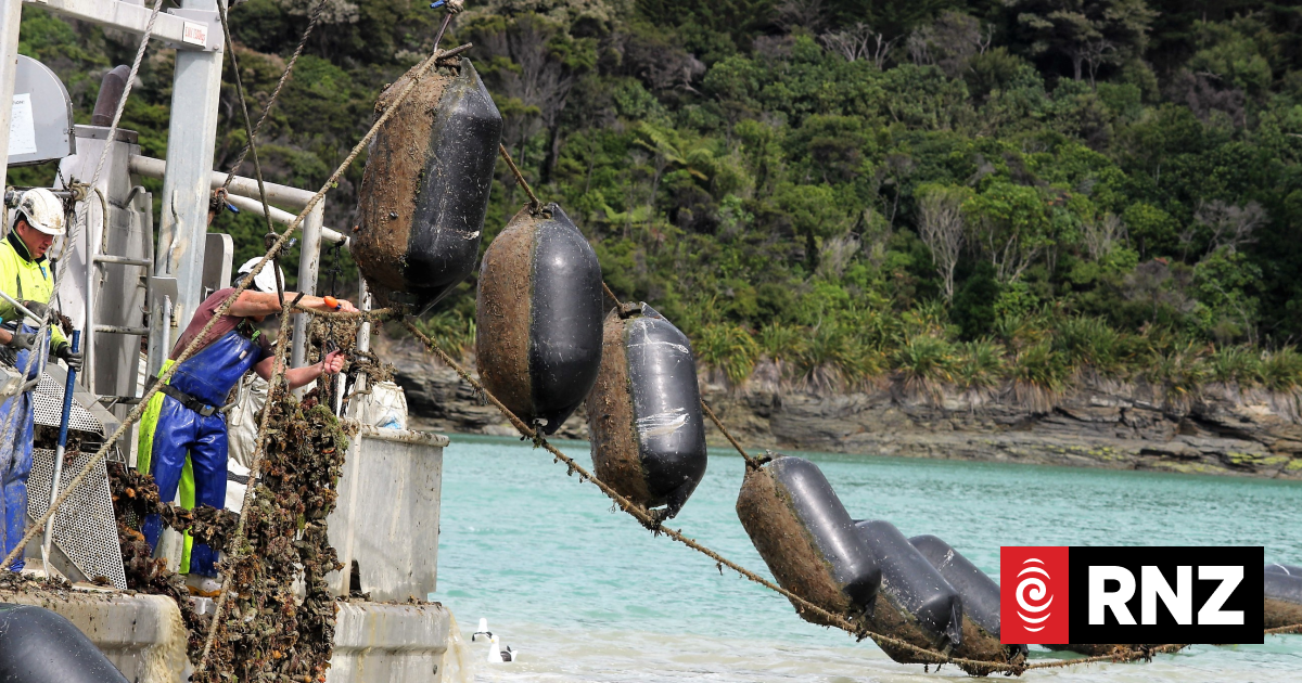 Six Marlborough mussel farms put on govt's fast track