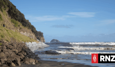 Person dies after falling from rocks at Muriwai