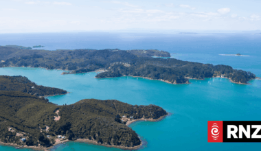 Predator-free efforts align with tikanga Māori - iwi leader