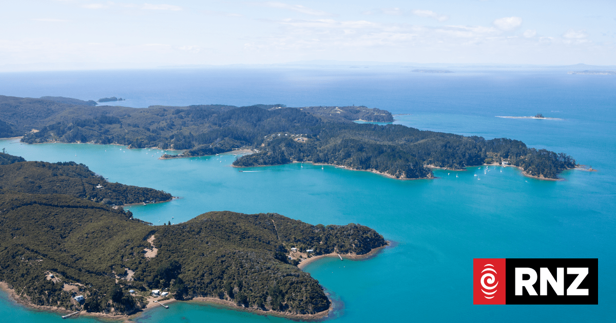 Predator-free efforts align with tikanga Māori - iwi leader