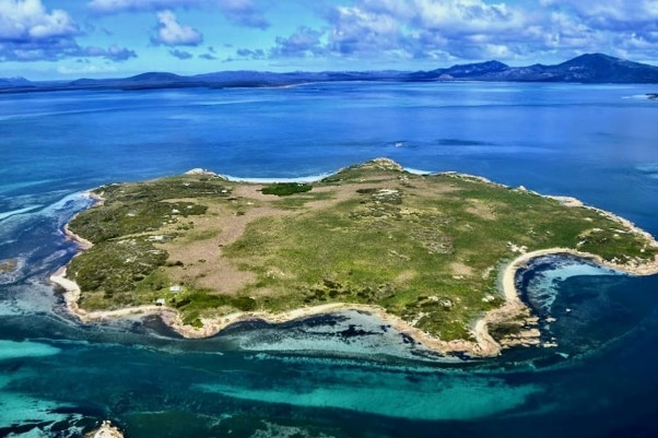 Aerial view of Little Dog Island