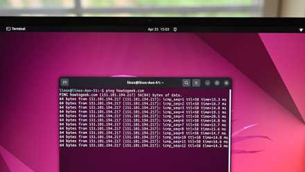 Ping running in a Linux terminal.