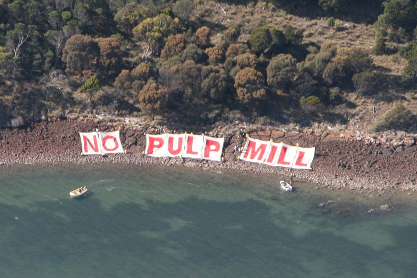 No Pulp Mill in red letters on white background along a shoreline.