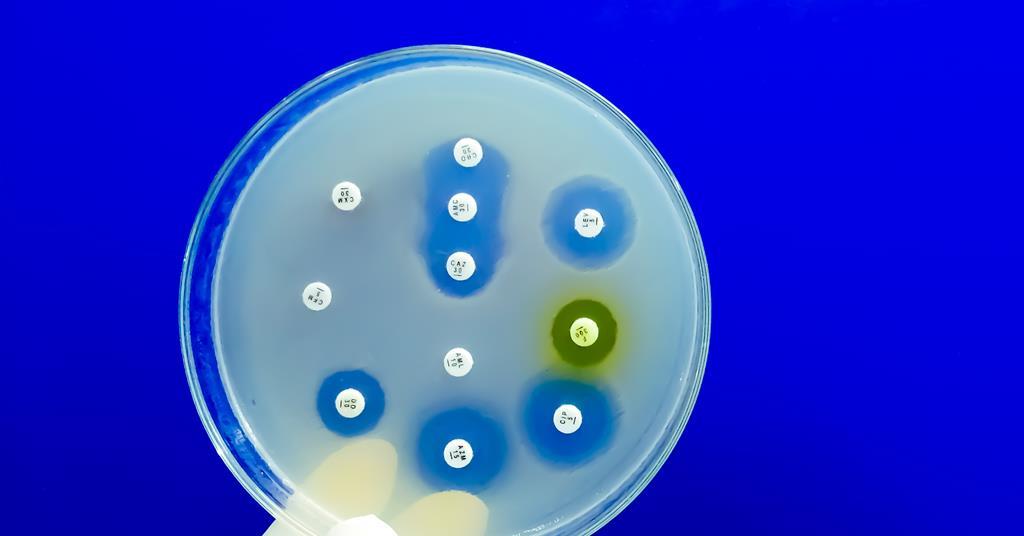 Metabolised antibiotics can drive antimicrobial resistance just as much as their parent compounds | Research