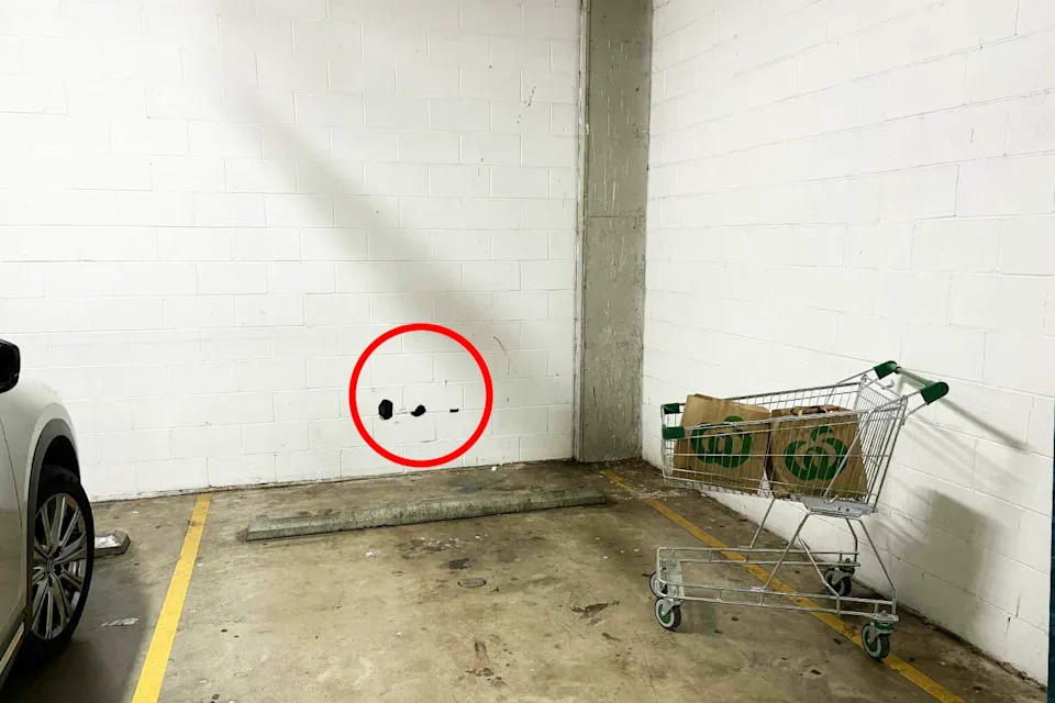 A Sydney shopping centre car park where a lizard was found. The hole it was found in is highlighted.