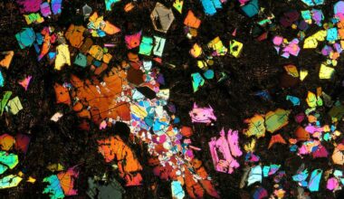 A kaleidoscope of colors is seen against a black background