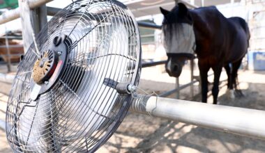 A close up of a circular metal fan tied to a fence post with a horse wearing eye blinders in the background.