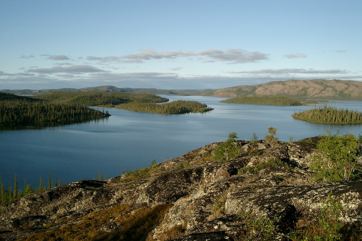 Pushed by climate change, Canada’s northern great lakes show signs of a biological reset