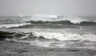 Local state of emergency declared for part of Wellington before ‘significant swell event’