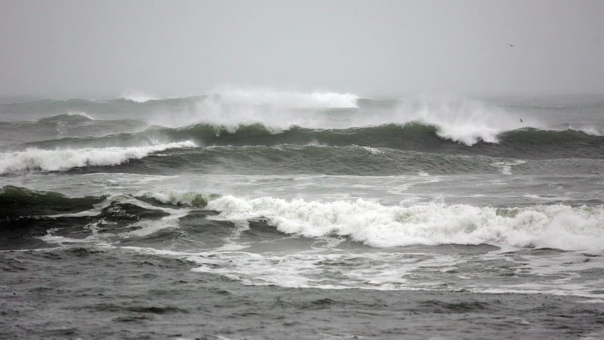 Local state of emergency declared for part of Wellington before ‘significant swell event’
