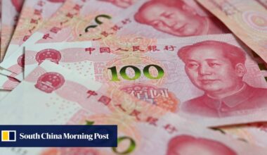 The panda bonds: how China uses assets to boost yuan’s profile, cement partnerships