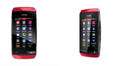 HMD Asha 305