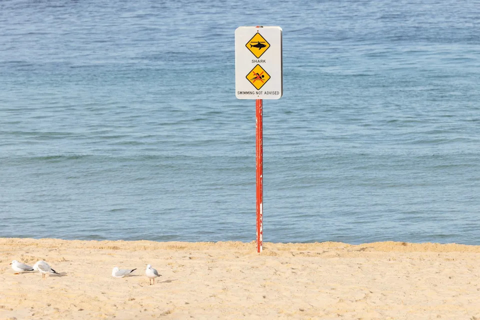 A "Beach closed, shark in water" sign is seen at Coogee beach after a shark attack left a woman in a critical condition. Nadir Kinani/AAP/dpa