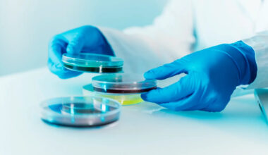 UK scientists discover protein that enables chemotherapy to target tumors and spare healthy cells