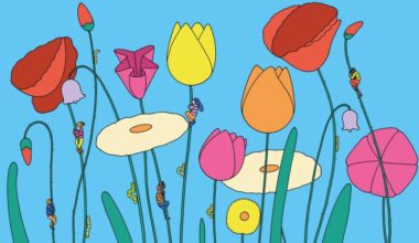 The naturally refreshing visual language of Sour Soda Studio